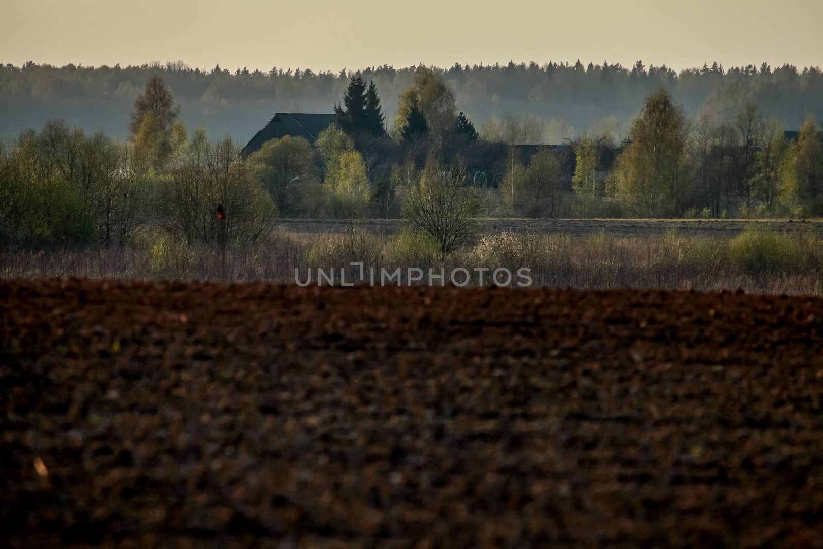 Spring landscape with plowed field. Plowed cereal field with mist in spring. Classic rural landscape in Latvia. Plowed field in spring season.