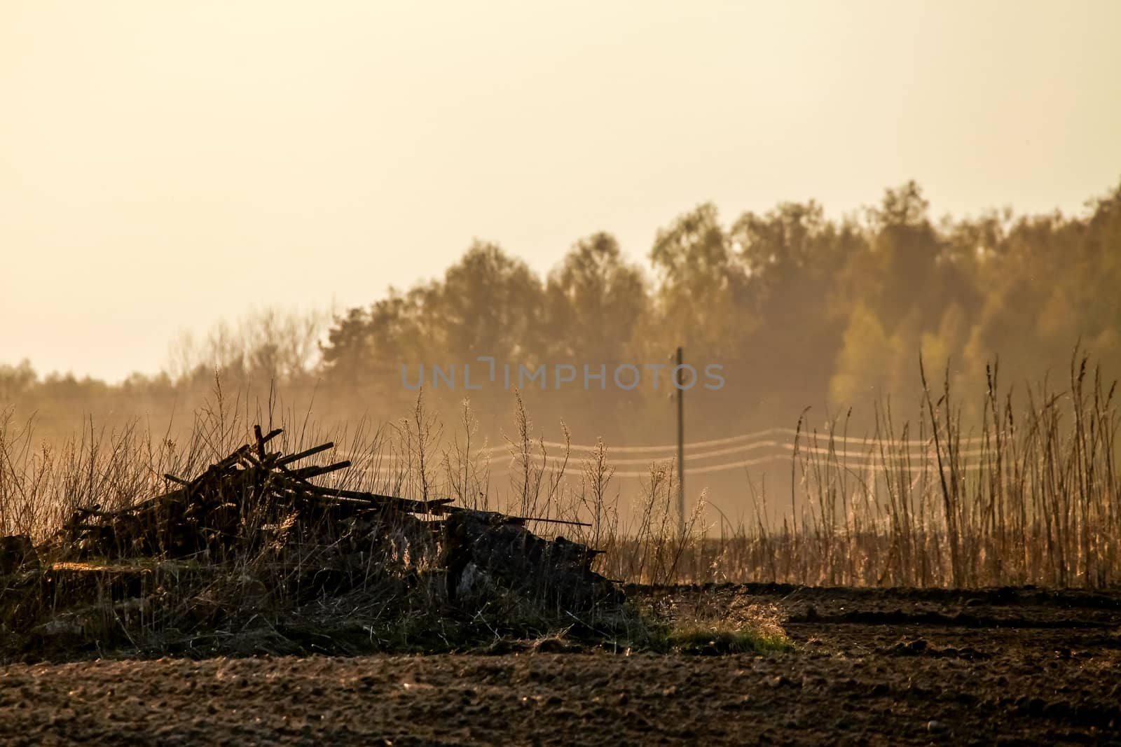 Spring landscape with plowed field and branch stack. Plowed cereal field with mist in spring. Classic rural landscape in Latvia. Mist on plowed field in spring season.