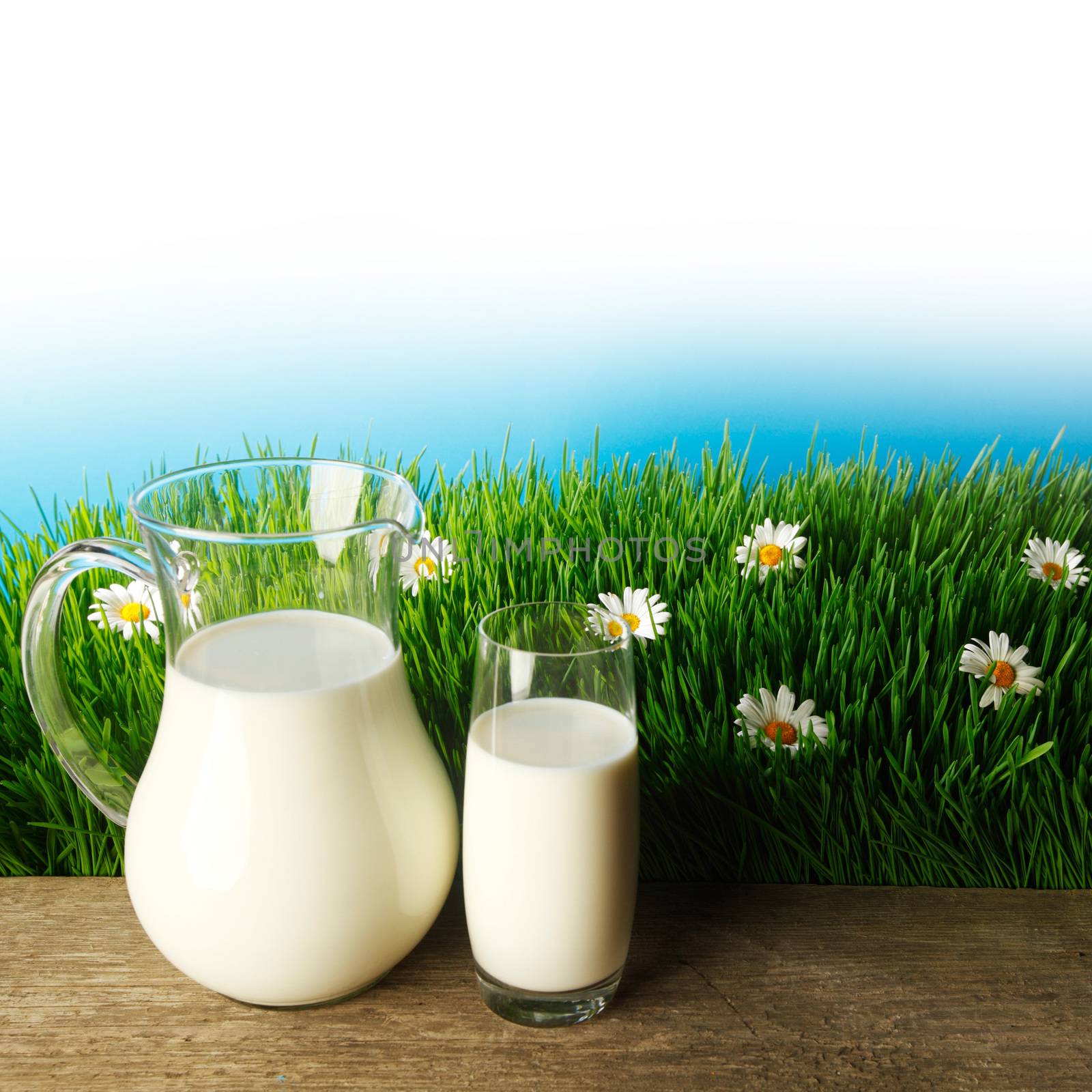 Glass of milk and jar on fresh grass meadow with chamomiles