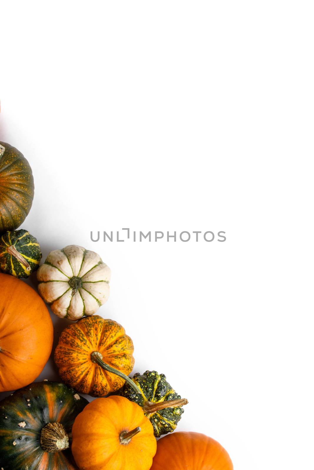 Many colorful pumpkins frame isolated on white background, autumn harvest, Halloween or Thanksgiving concept