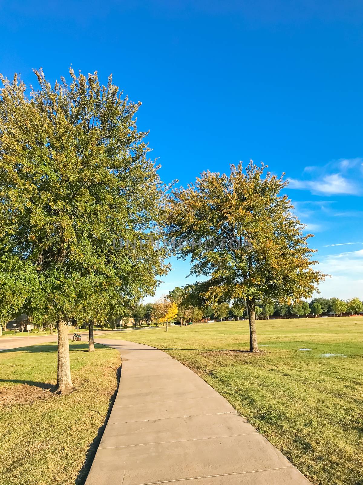 Empty curved pathway in city park suburbs of Dallas, Texas, USA