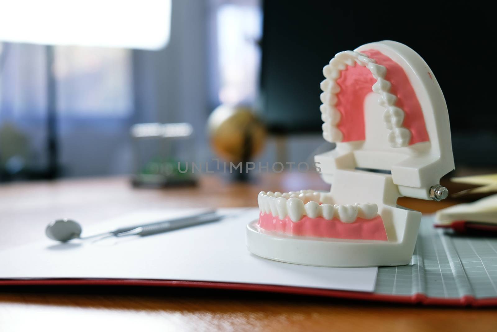 White healthy tooth with Dental model in oral health care concept
