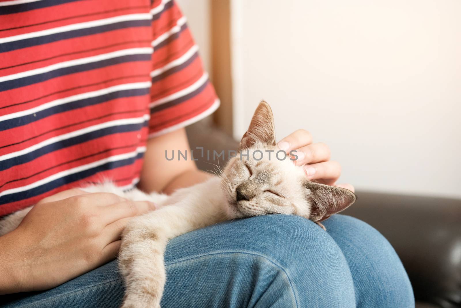 Woman hug Cute cat. Friendship Animal lover. trust  love Friend of human