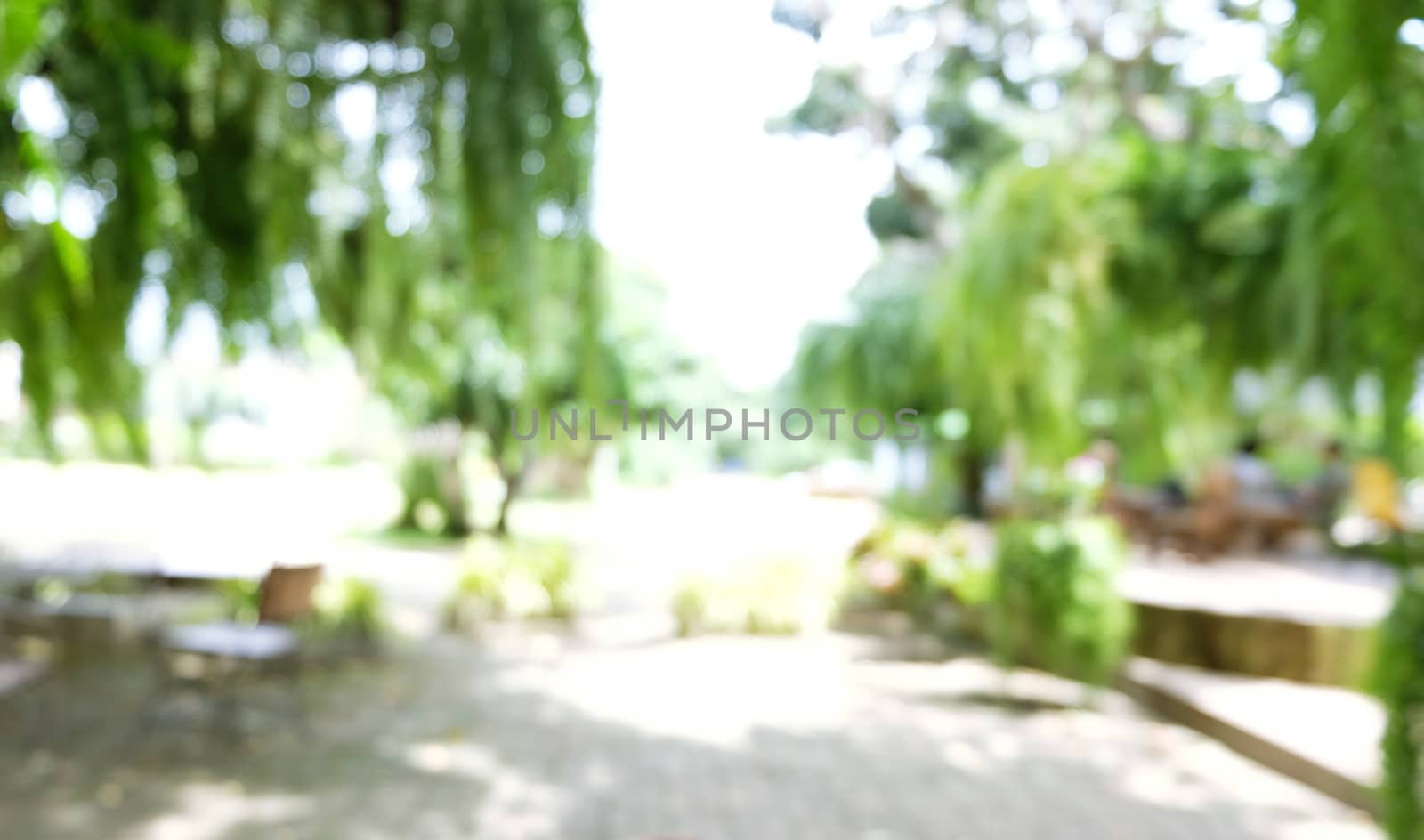 Blurred beautiful nature background blurry of leaf bokeh forest. by peandben