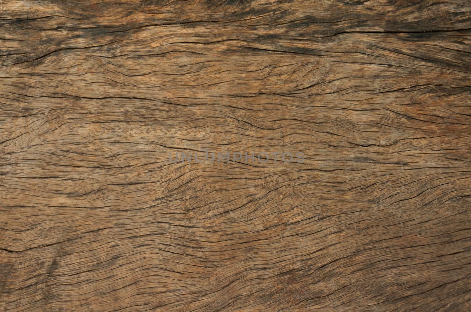 Wood texture with natural pattern, wooden background.