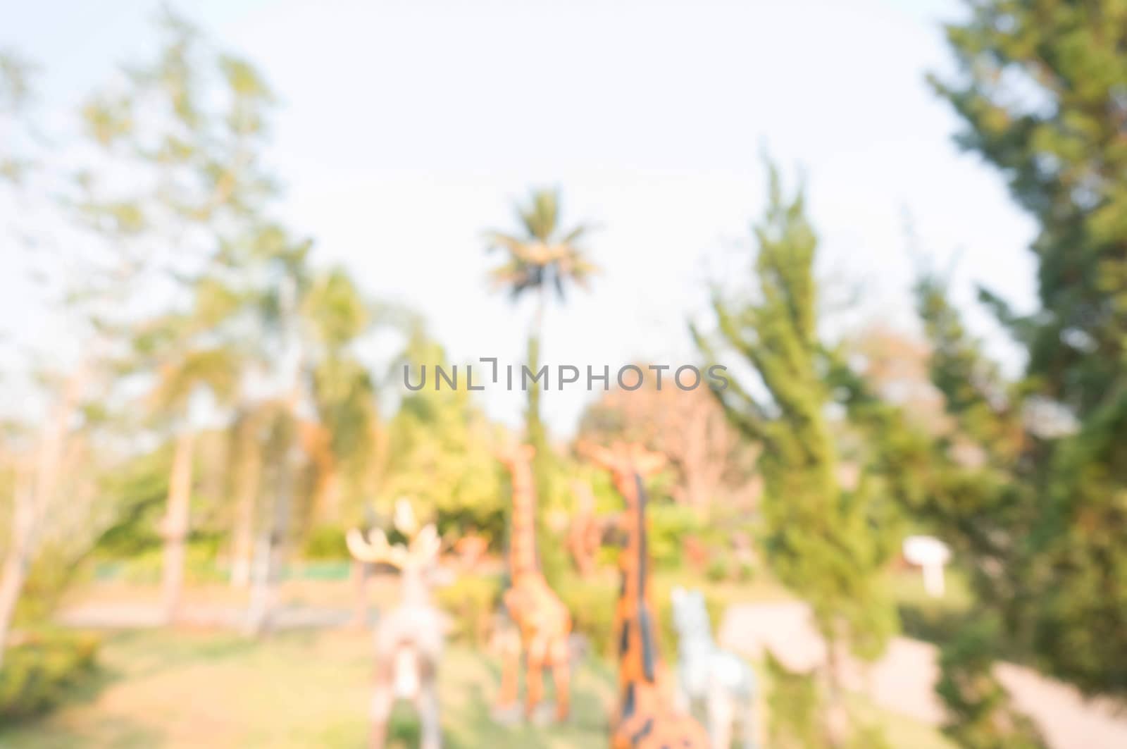 Blurred beautiful nature background blurry of leaf bokeh forest. for background usage .