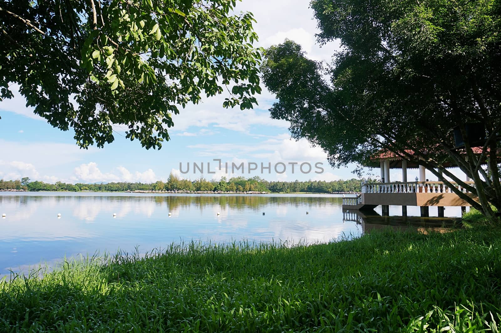 Blurred of beautiful nature Green tree forest background. with c by peandben