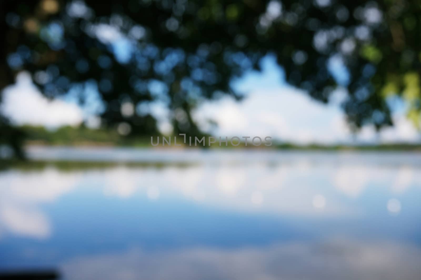 Blurred of beautiful nature Green tree forest background. with c by peandben