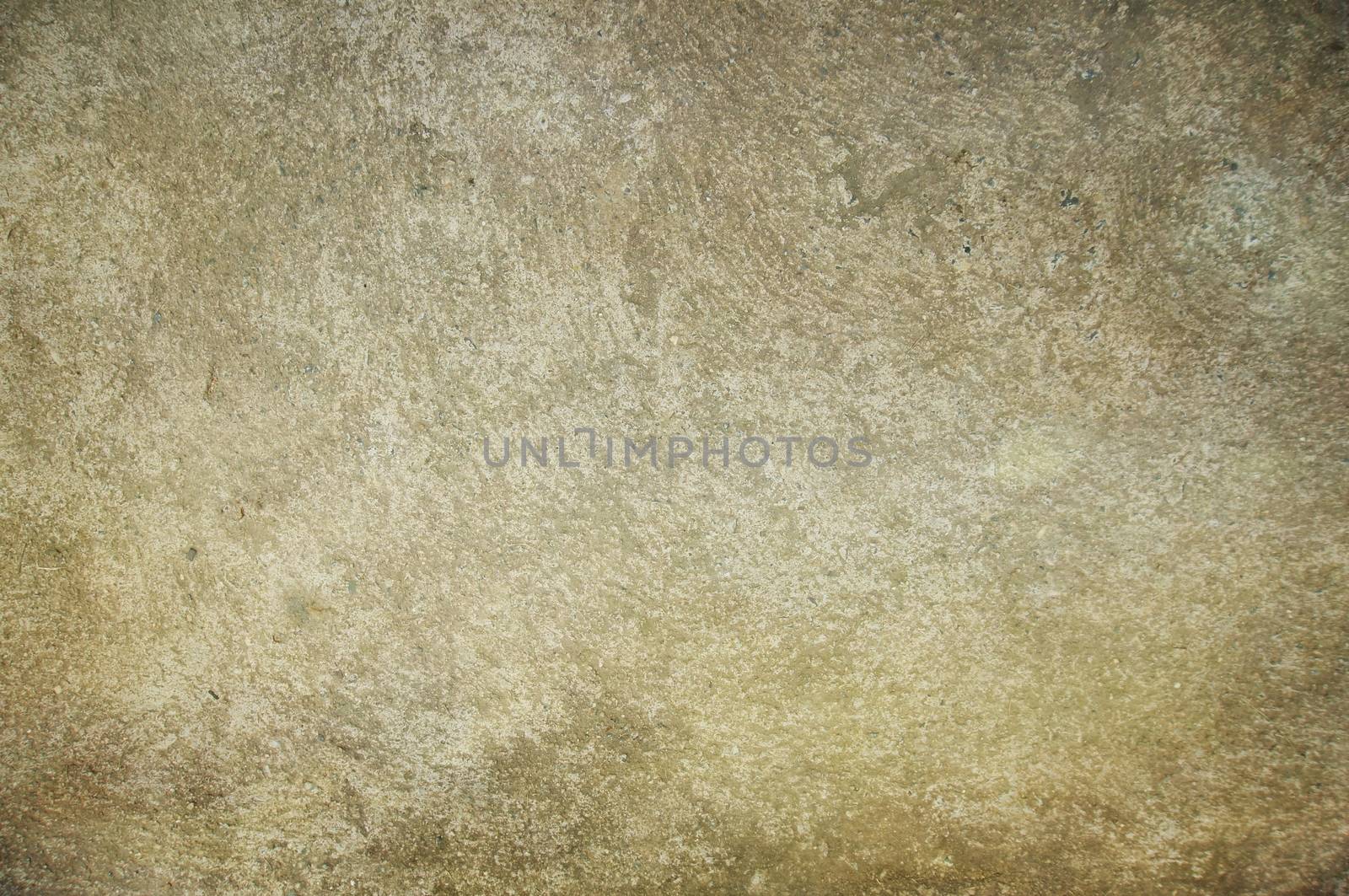 Cement plaster wall texture for background. copy Space.