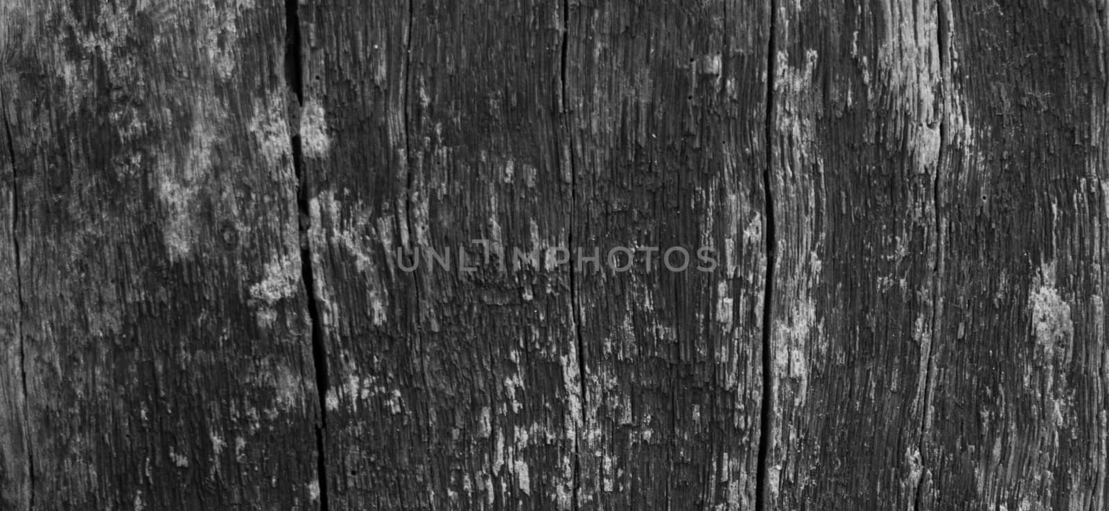 Wood texture with natural pattern, wooden background