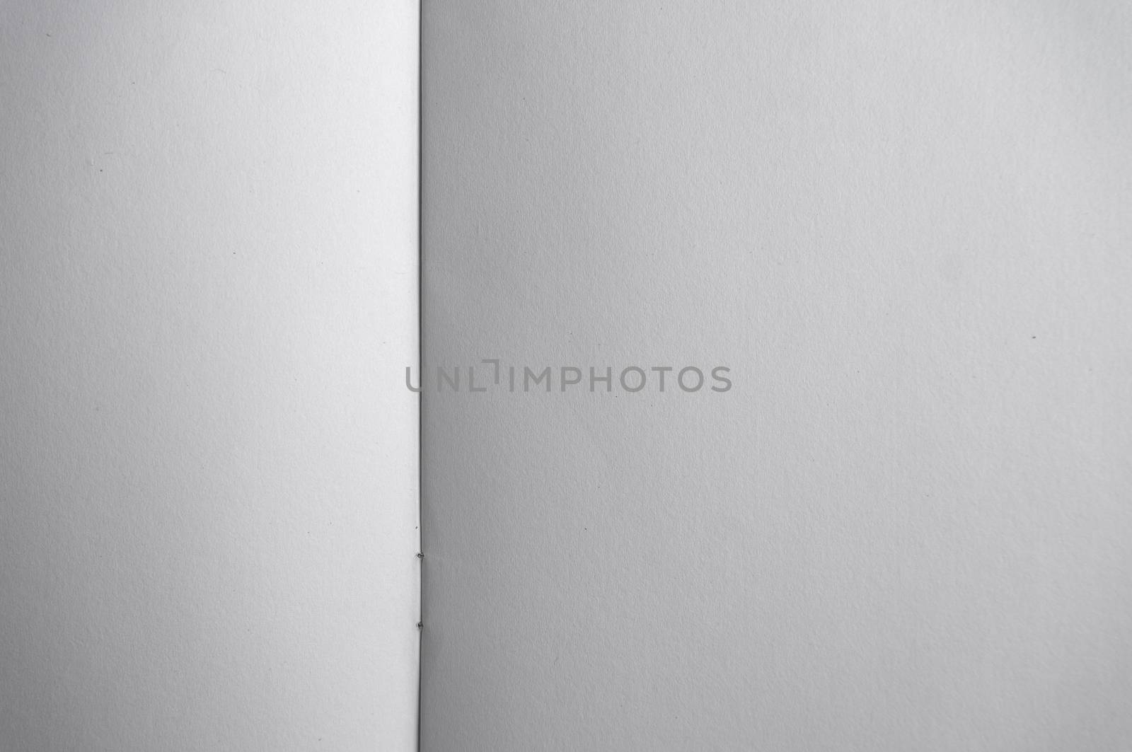 White watercolor paper texture or background.