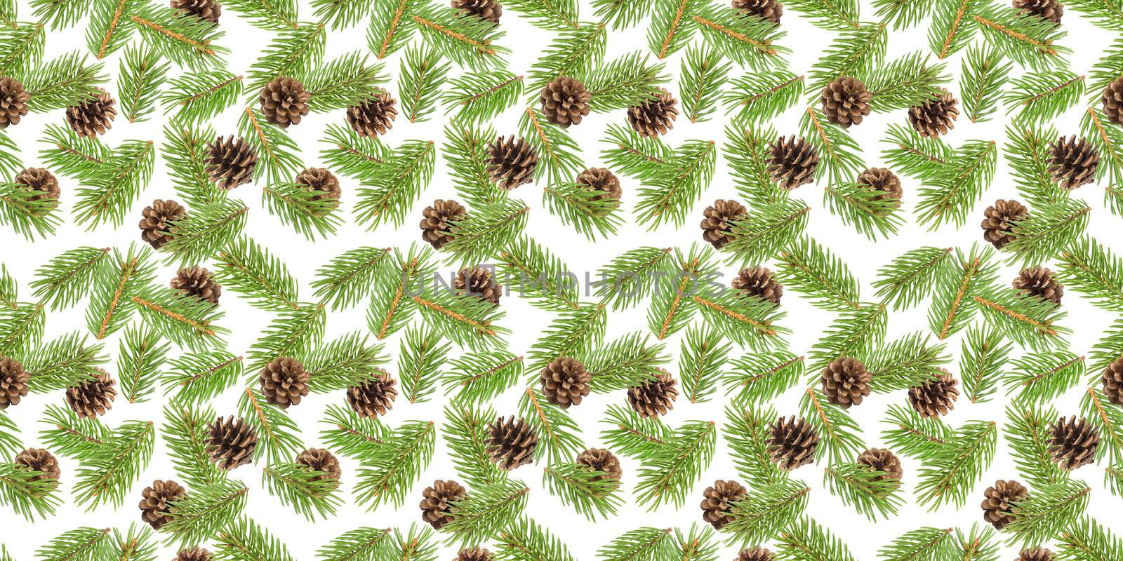 Fir tree branches seamless pattern, pine branch, Christmas conifer isolated on white background, New Year winter pattern