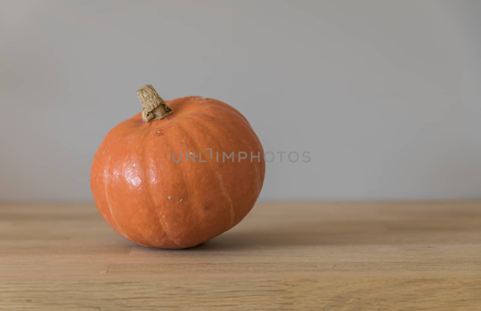 single orange pumpkin by compuinfoto