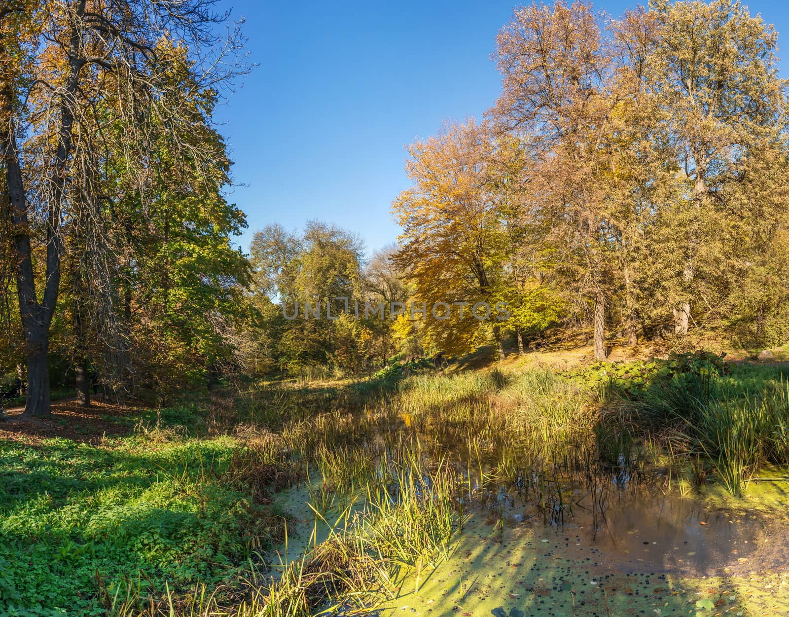 Amazing autumn around the old ponds in Sofiyivka park in Uman, Ukraine