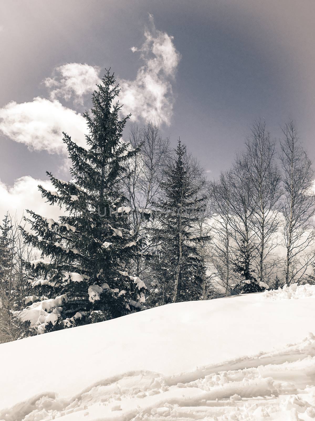 The Alpe d Huez ski domain in the French Alps