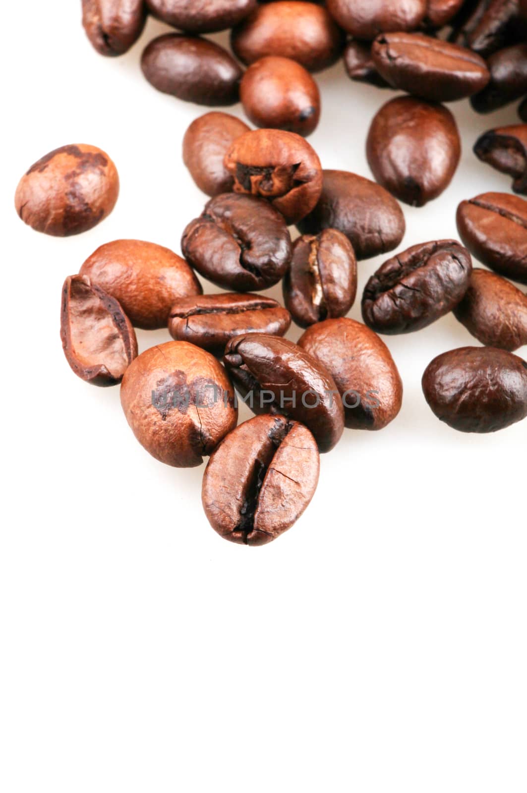 Coffee Beans Isolated On White Background by nenovbrothers