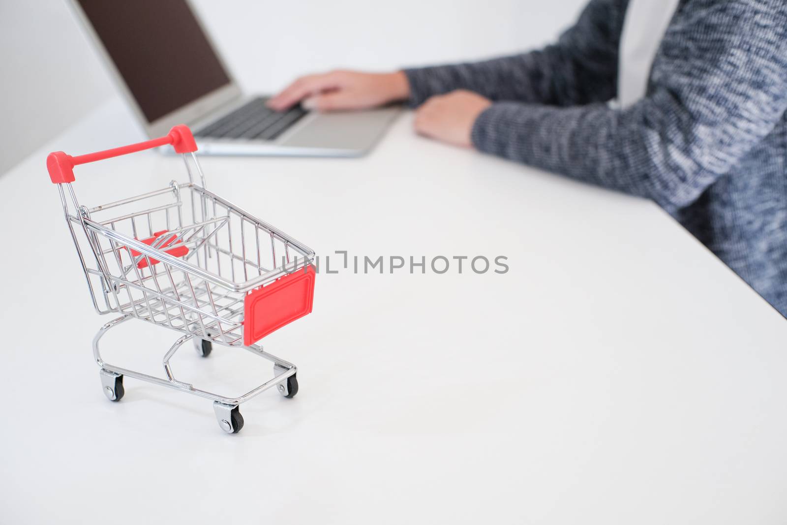 Woman and Small shopping cart with Laptop for Internet online sh by peandben