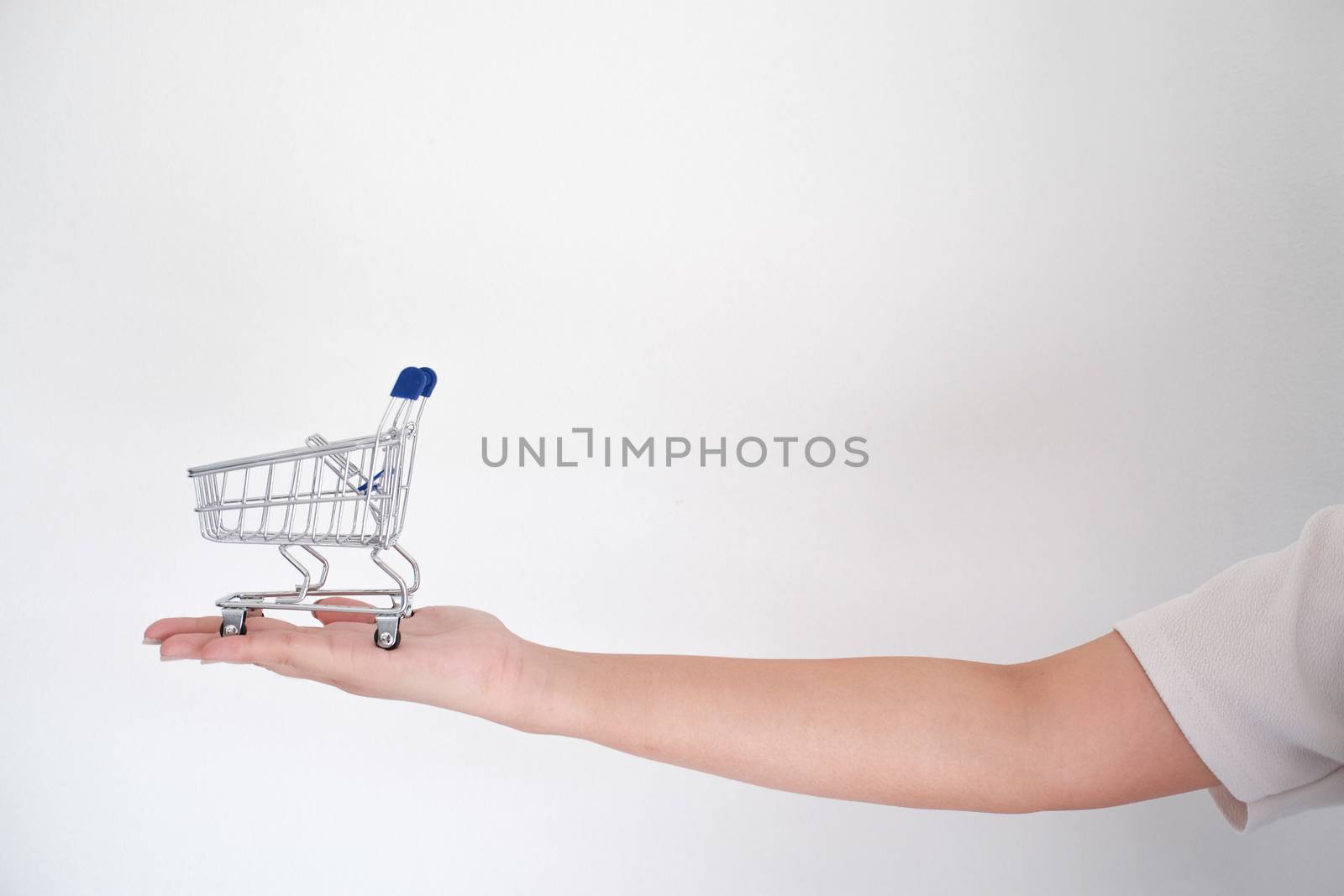 Woman hand forefinger pushing small shopping cart with Internet  by peandben