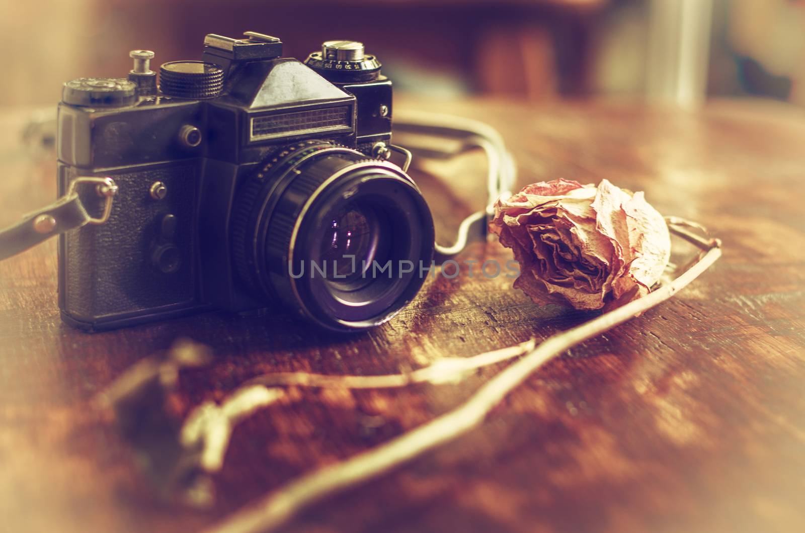 Retro photo camera and dry rose on a wooden table.