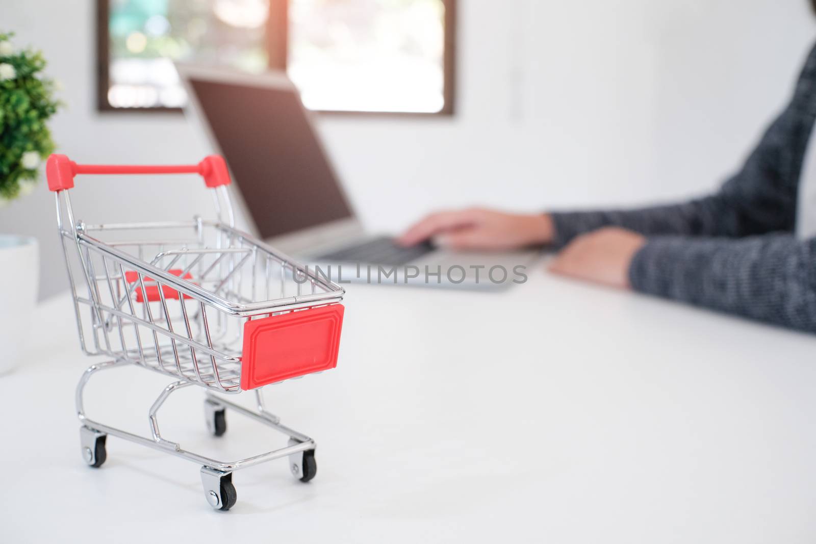 Woman and Small shopping cart with Laptop for Internet online shopping concept.