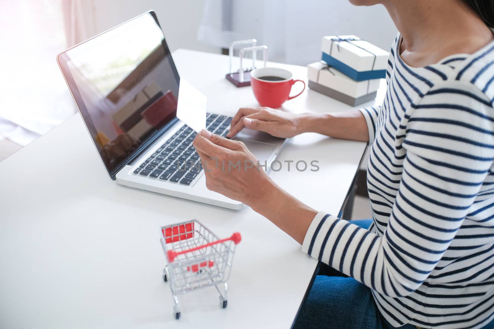 Woman and Small shopping cart with Laptop for Internet online sh by peandben