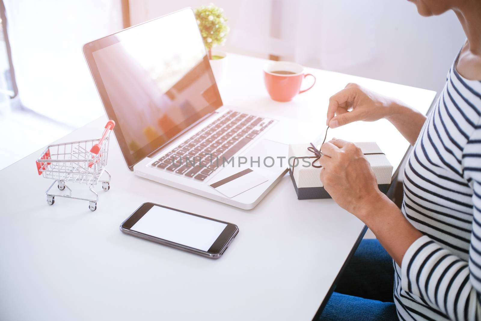 Woman and Small shopping cart with Laptop for Internet online sh by peandben