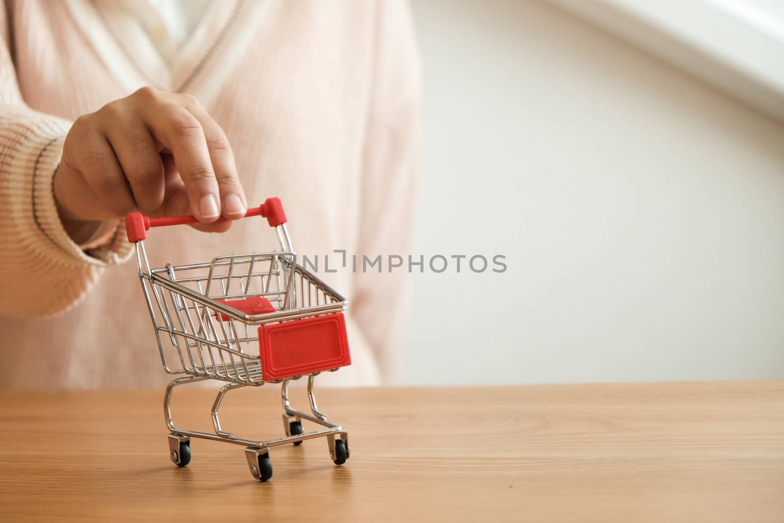 Small shopping cart with Laptop for Internet online shopping concept