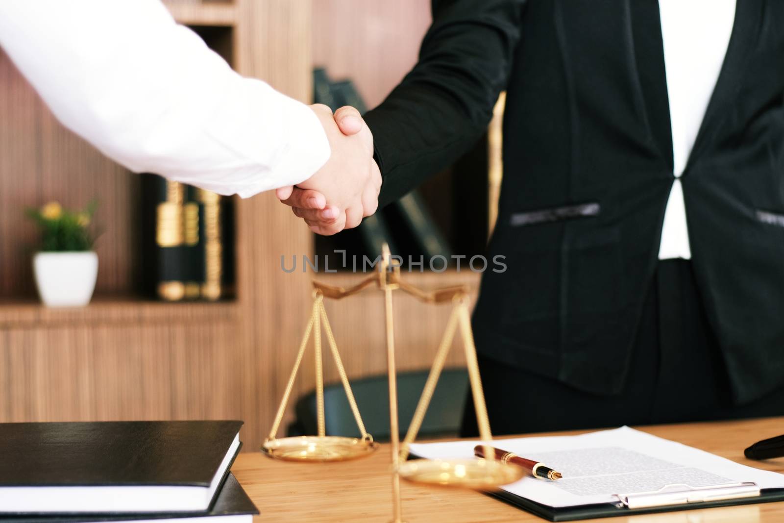 Female lawyer handshake with client. Business partnership meetin by peandben