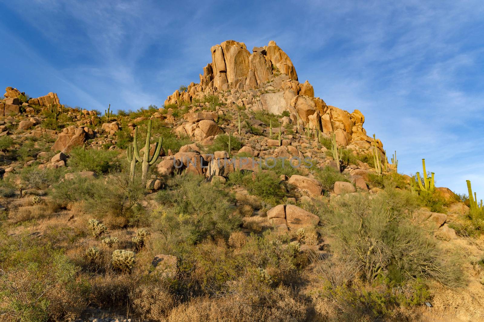Desert trailhead at Pinnacle Peak in Scottsdale, Arizona.