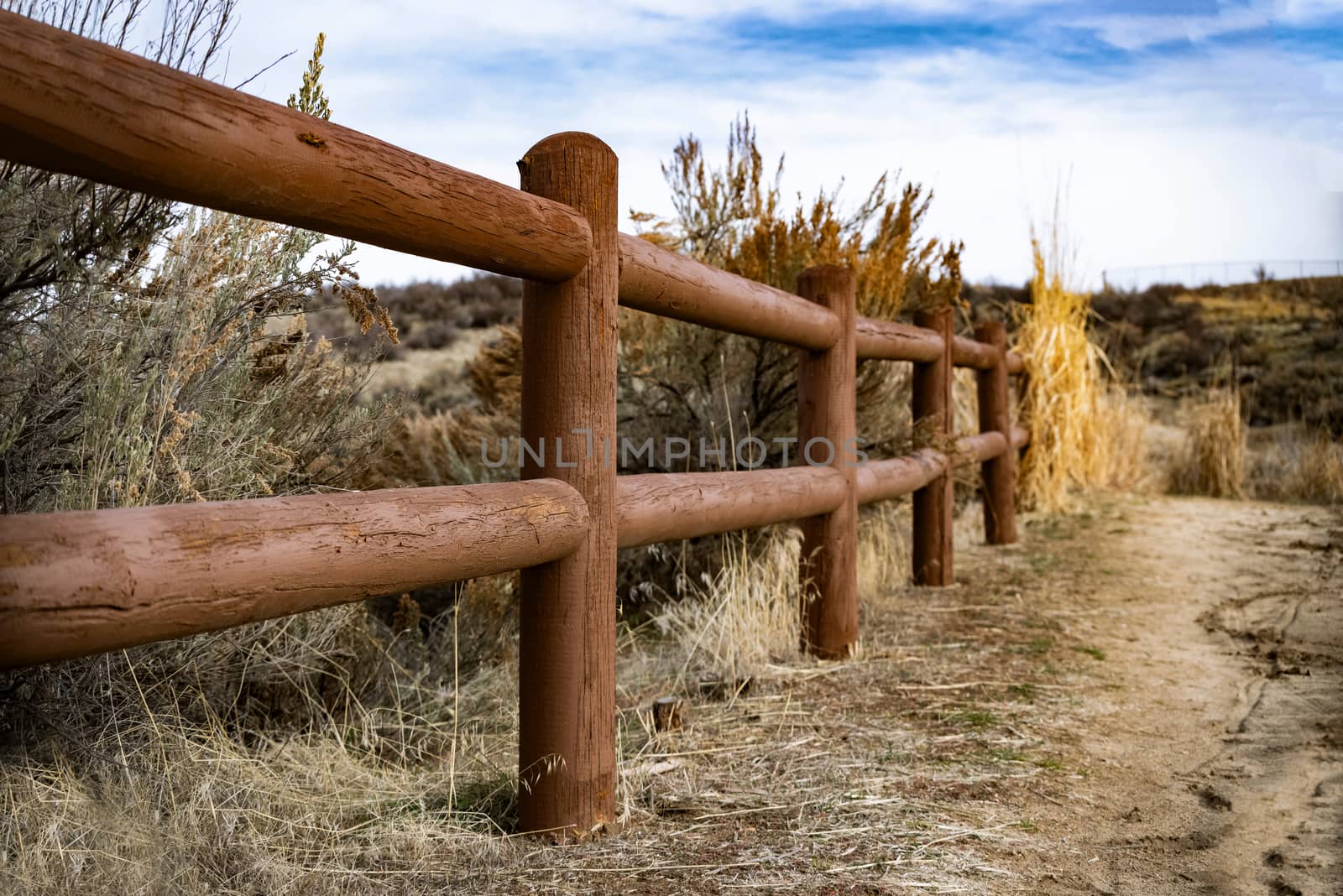 A fencepost trail in the foothills of Idaho.