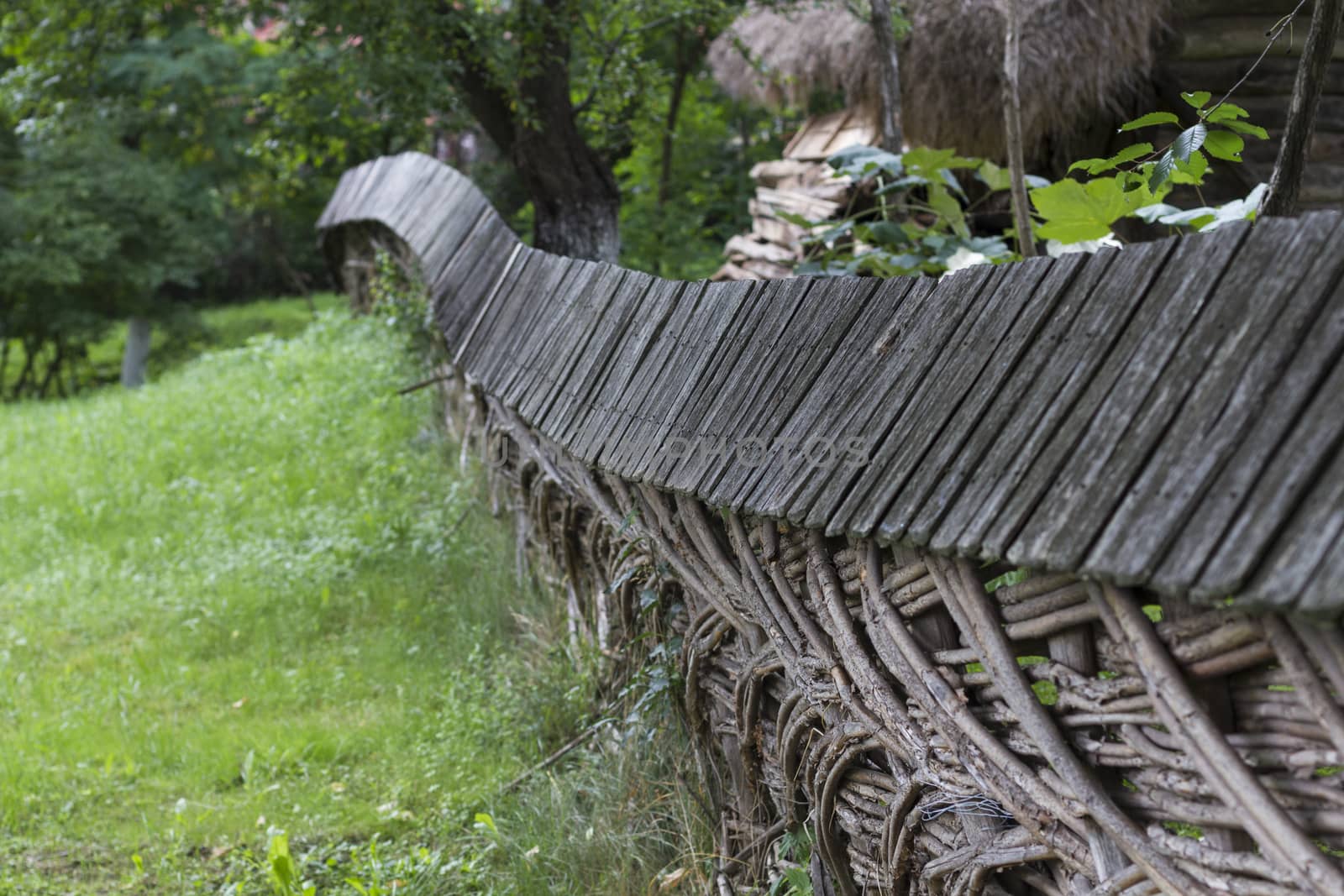 Branch Garden Fence by orcearo