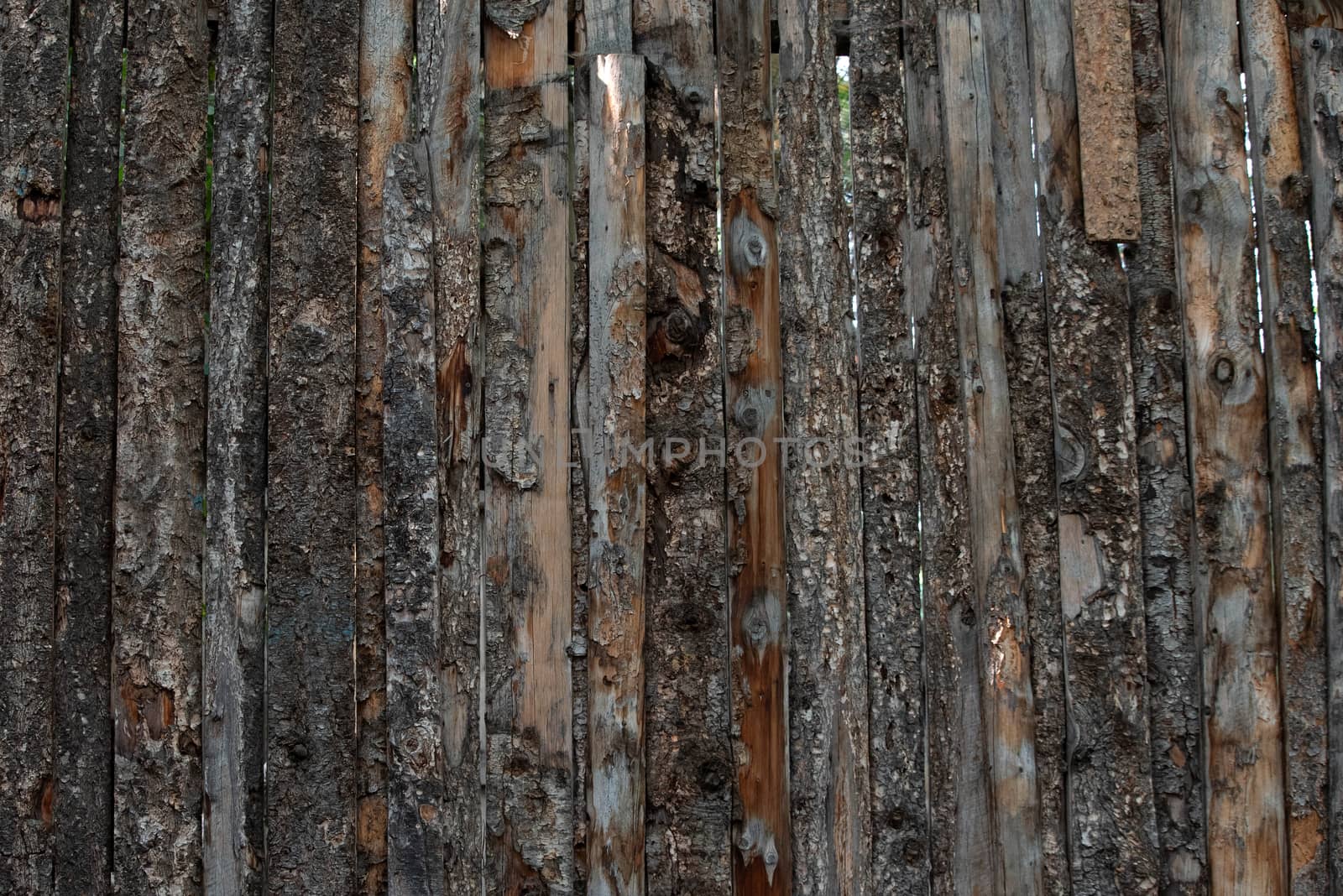 An old fence of textured wood.