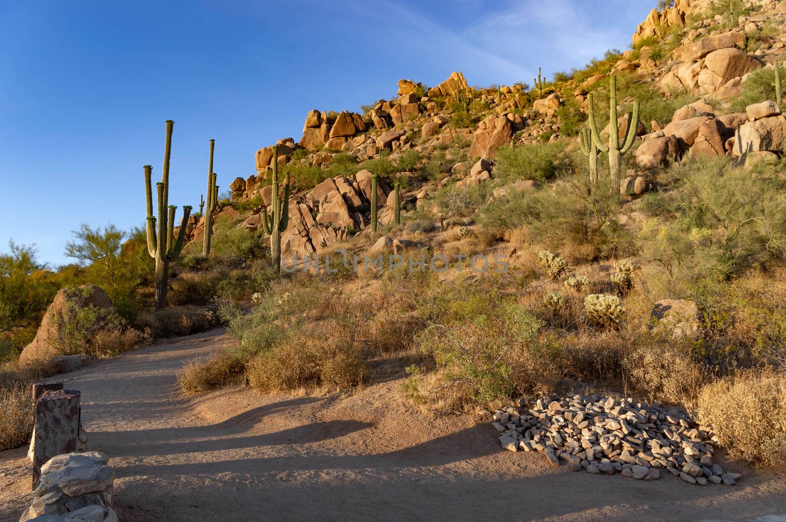 Desert trailhead at Pinnacle Peak in Scottsdale, Arizona.