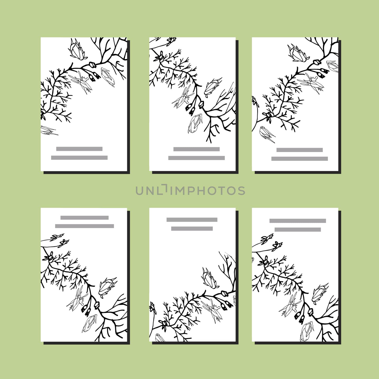 Set of six cards. Black floral design on white background. 