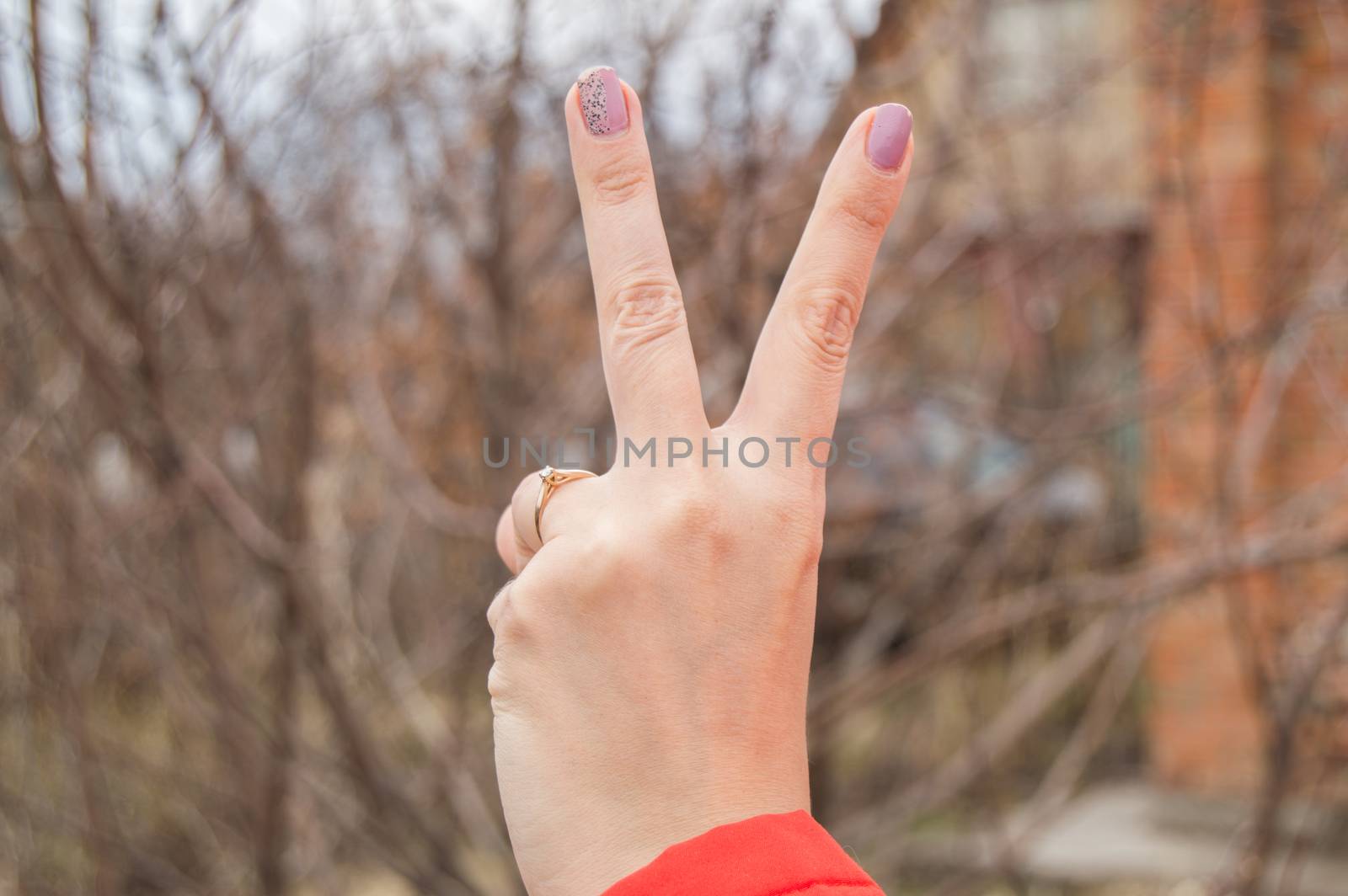 Female hand showing victory sign on blurred nature background by claire_lucia