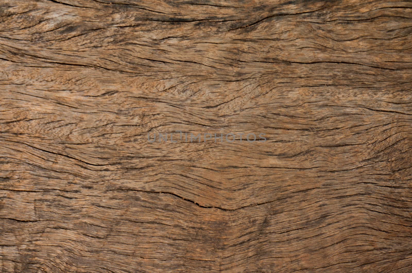 Wood texture with natural pattern, wooden background.