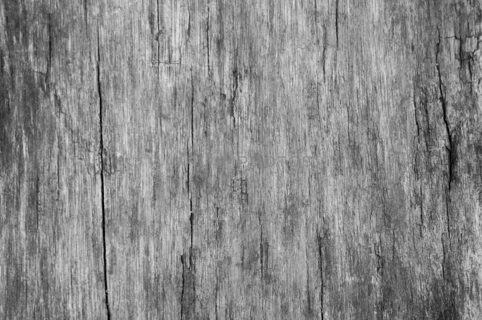 White wood texture with natural pattern, wooden background by peandben