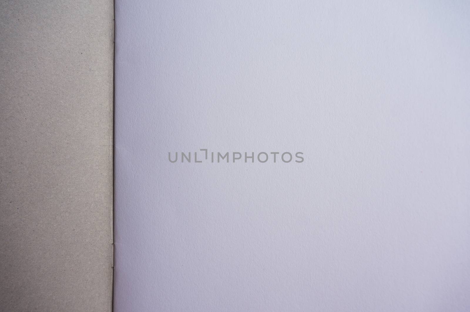 White watercolor paper texture or background.