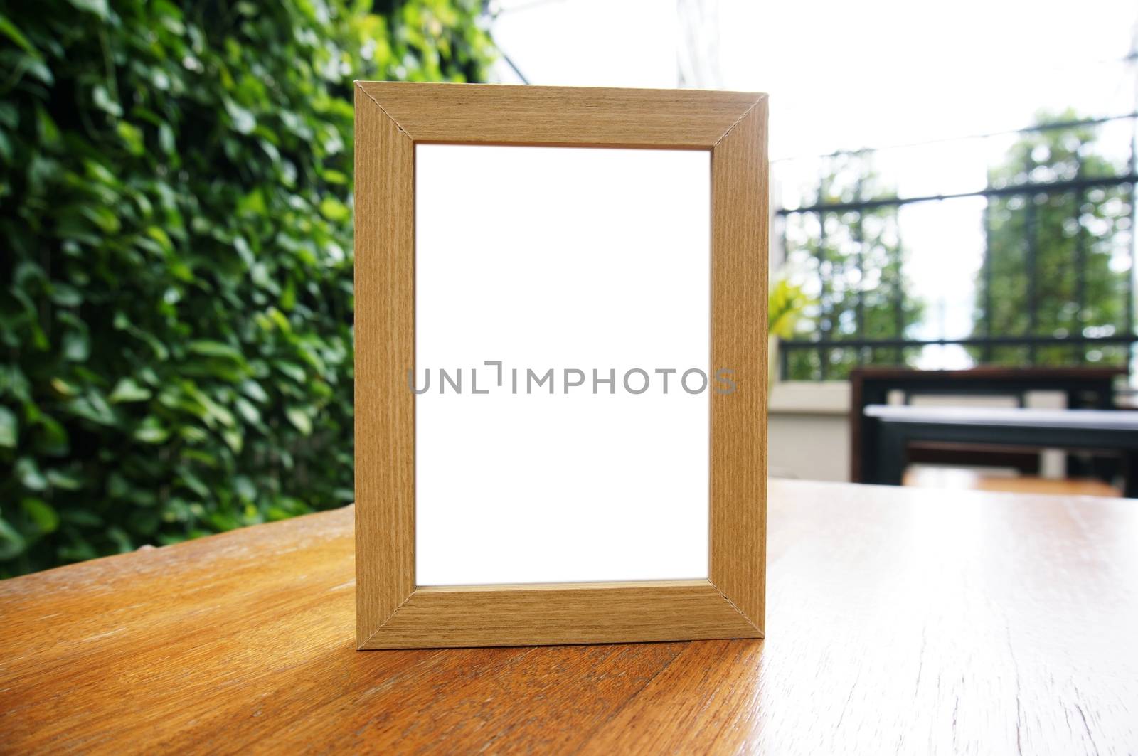 Close up of women hands holding business name card blank copy space screen.