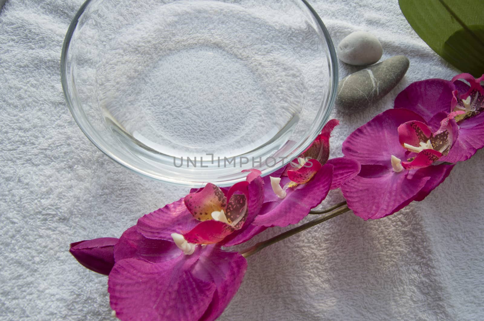 Water bowl and Spa manicure accessories, Orchid on white background by claire_lucia