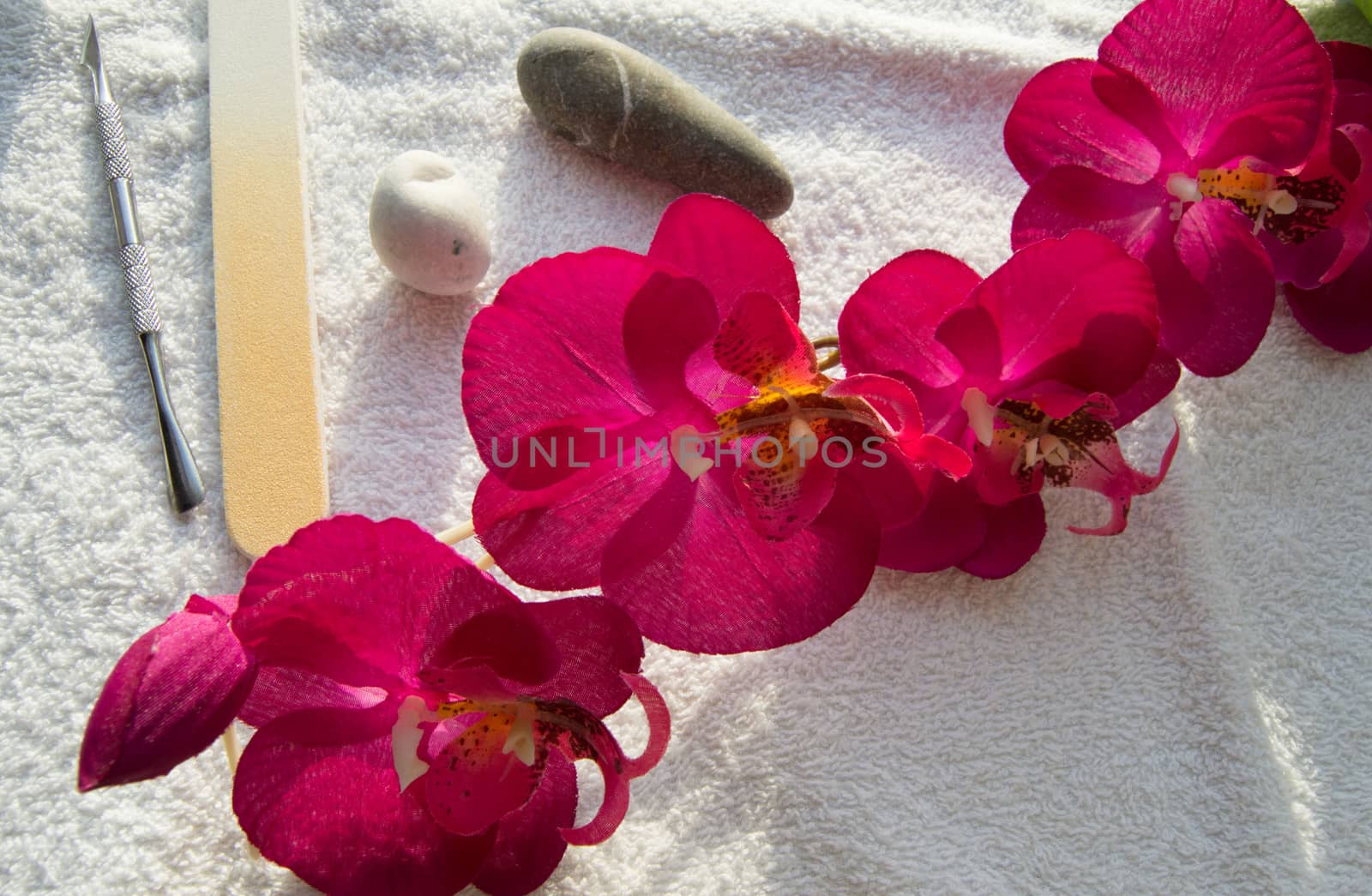 Accessories and tools for Spa manicure, Orchid and stones on white background.