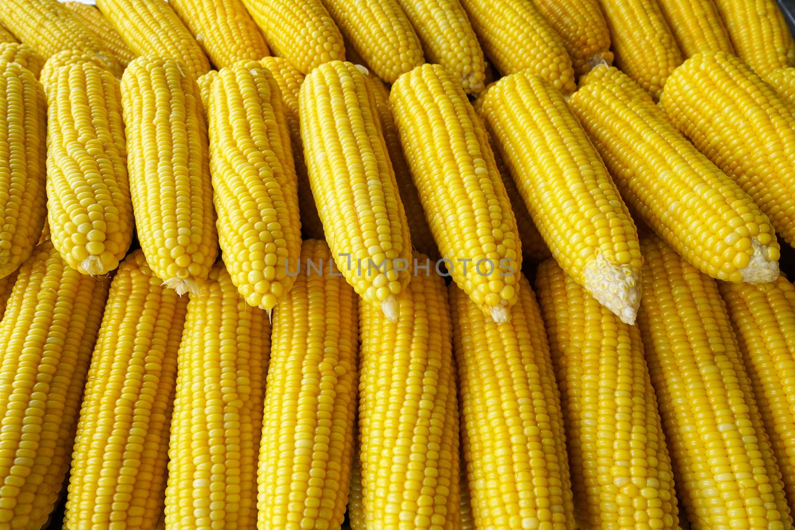row of boil corn in the market