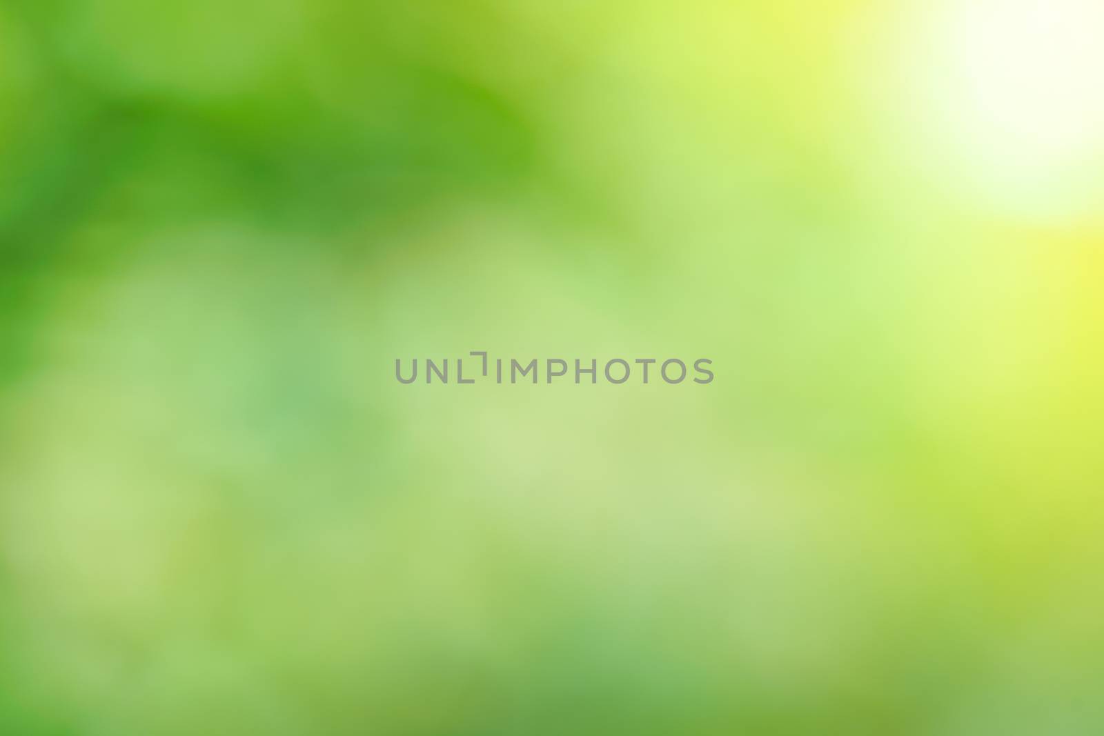 abstract green bokeh background by antpkr