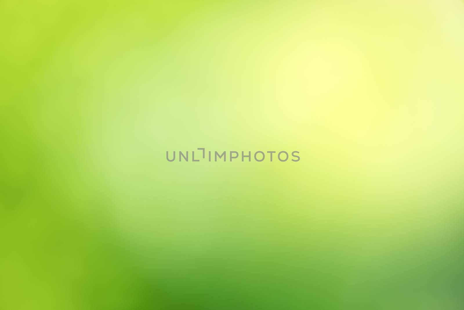 abstract green bokeh background