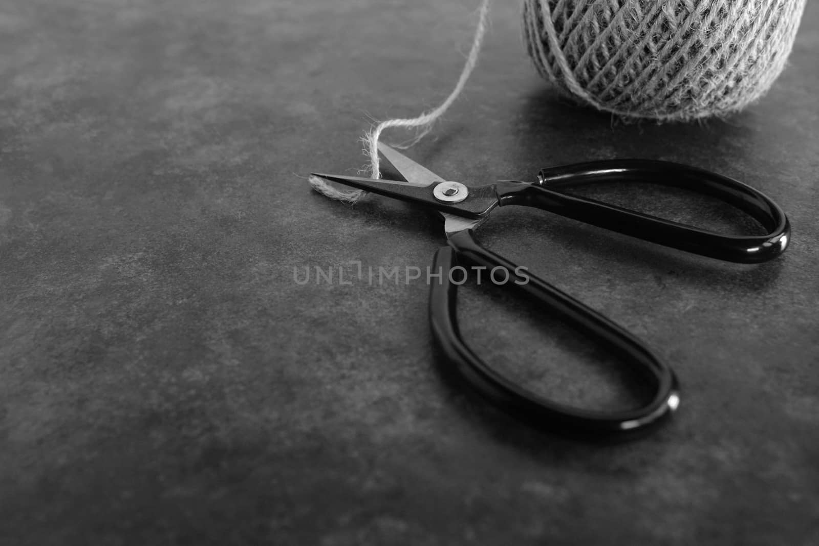 Old-fashioned scissors cutting piece of garden twine on grey background with copy space - monochrome processing