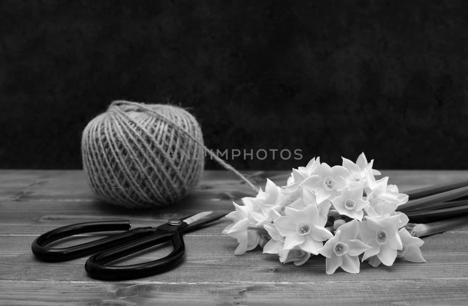 Ball of twine with retro flower scissors and white narcissi blooms on a wooden table - monochrome processing