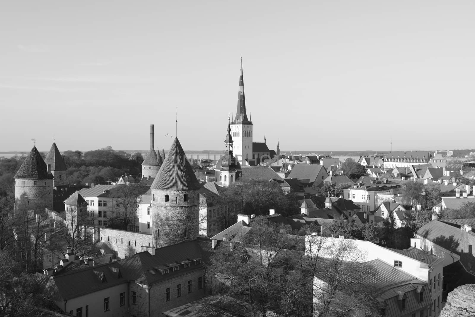 Cityscape of Tallinn, Estonia - a UNESCO World Heritage site - fortifications in the medieval city wall and church towers rise above the houses - monochrome processing