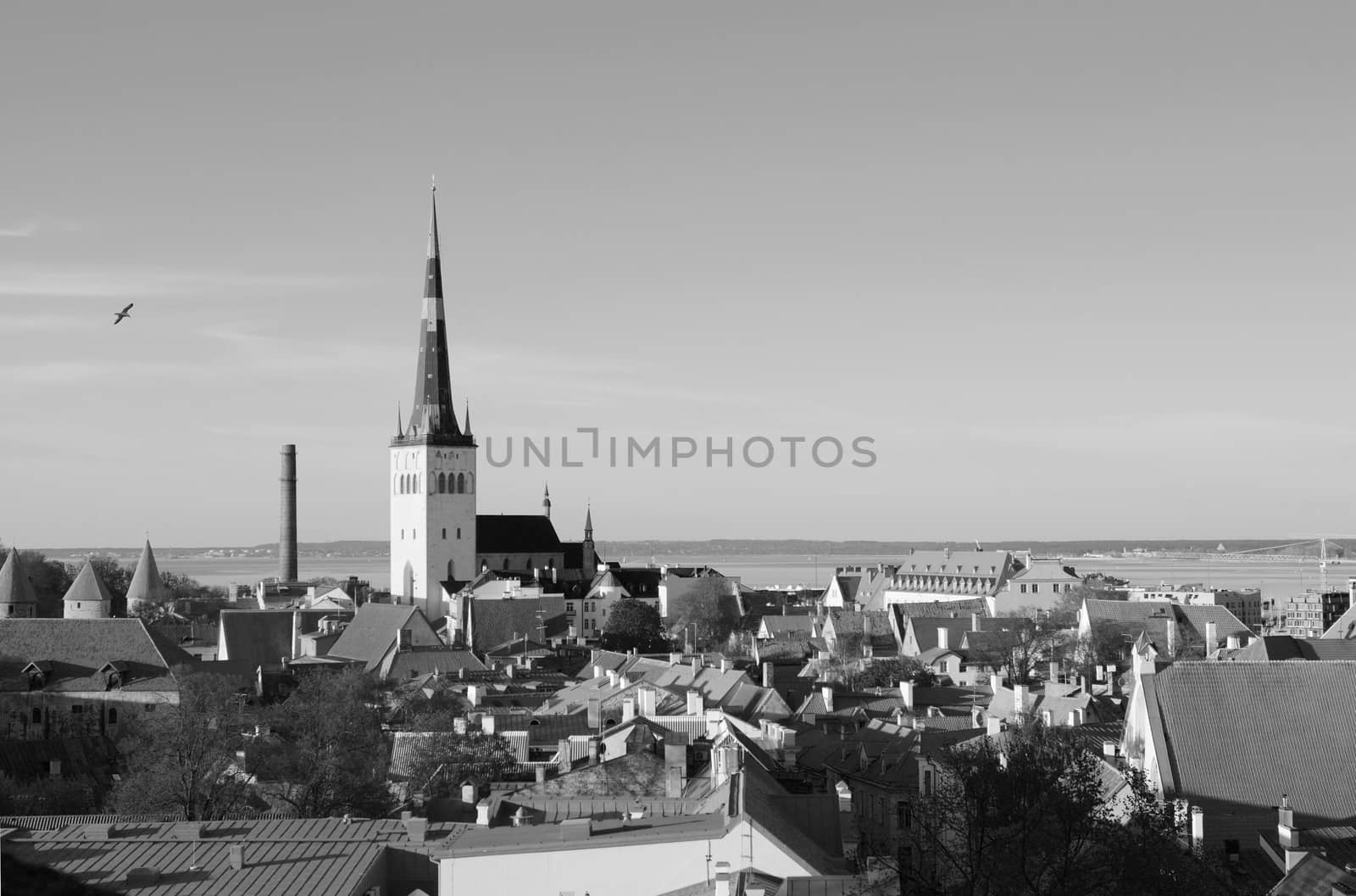 St Olaf's Church tower stands above the tiled roofs of the Old Town of Tallinn, capital city of Estonia. Beyond the cityscape lies Tallinn Bay - monochrome processing