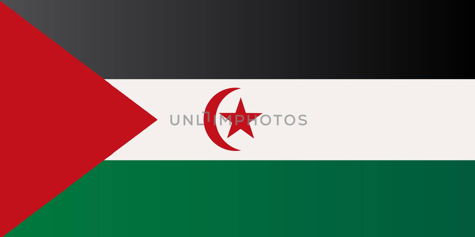 Flag of the Sahrawi Arab Democratic Republic in red white and green with crescent moon and star