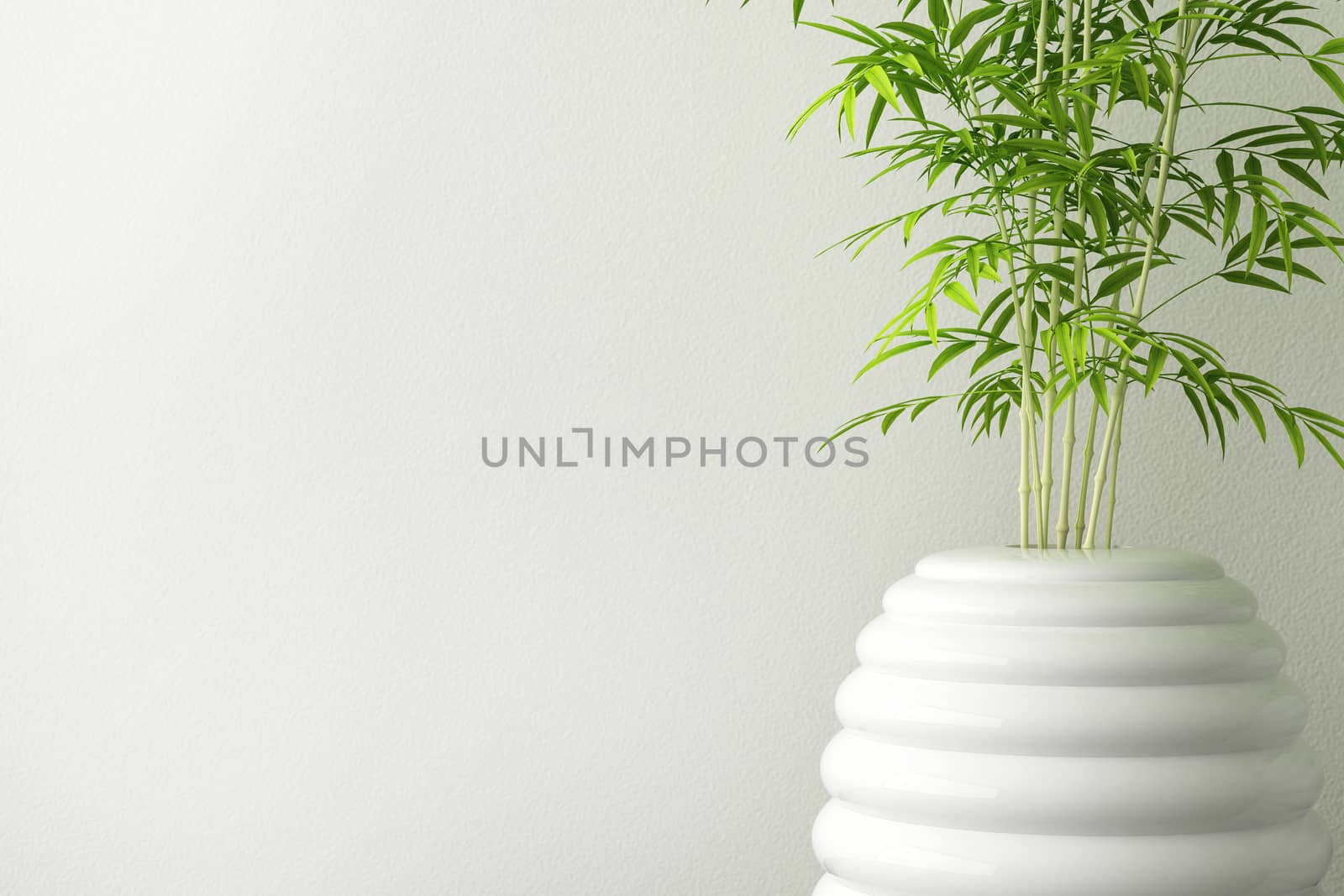 closeup of ceramic tree pot and wall interior
